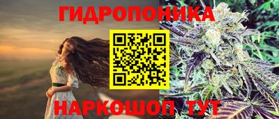 метадон Жуковский