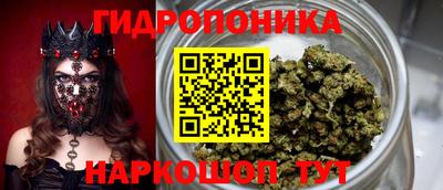 apvp Заволжье